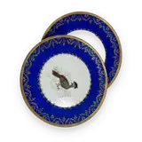 Pair of cobalt porcelain bird plates — thumbnail 1