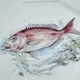Tognana Porcelain Fish Set — thumbnail 9